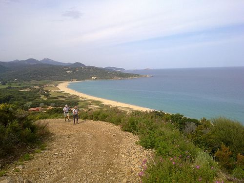 260420111659.jpg