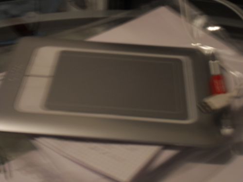 SDC10130.JPG