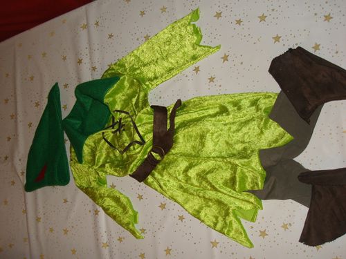 peter-pan-deguisement.JPG