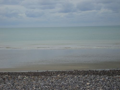 DSC02443