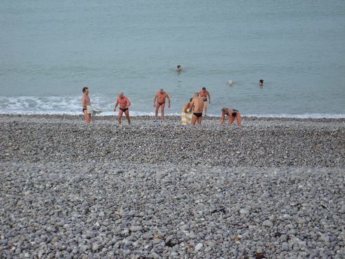 DSC02459
