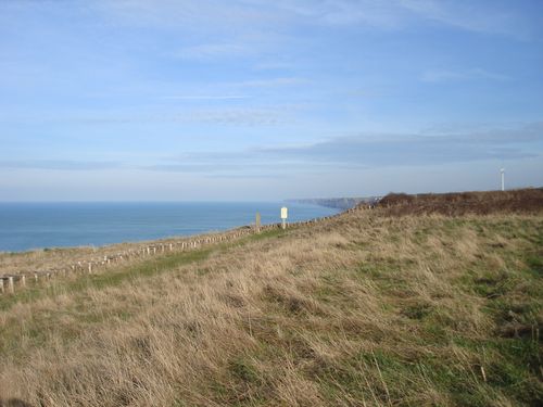 DSC02469