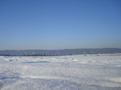 DSC02348