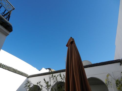 Ciel bleu sur la terrasse printemps 2012
