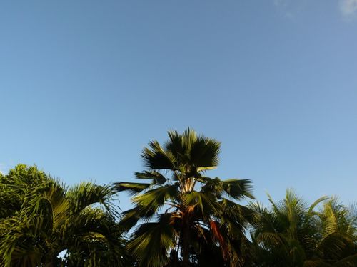 P1010944