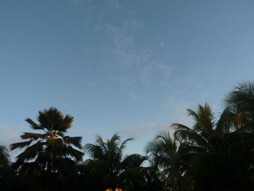 P1020502
