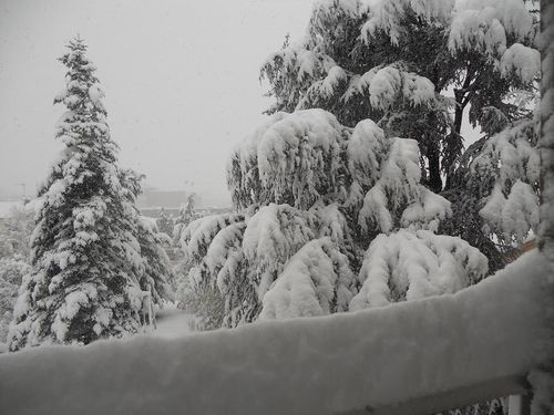 neige 20-11-21-2013