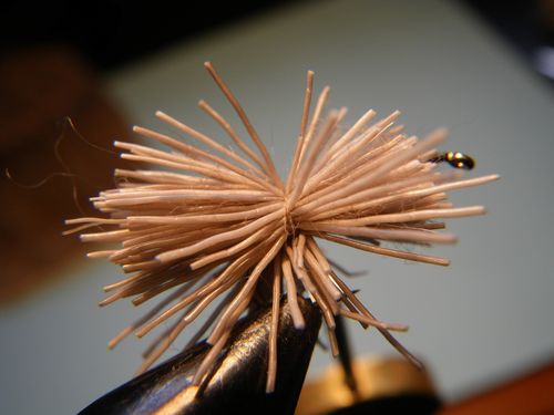 elk-3.jpg