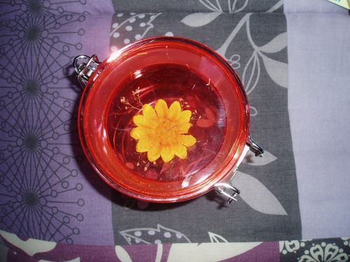 003-copie-1