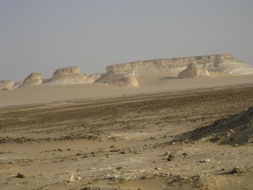 desert blanc 166RED