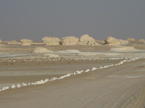 desert blanc 170RED