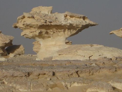 desert blanc 180RED