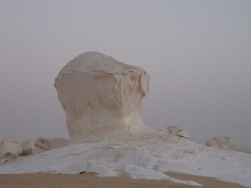 desert blanc 227RED