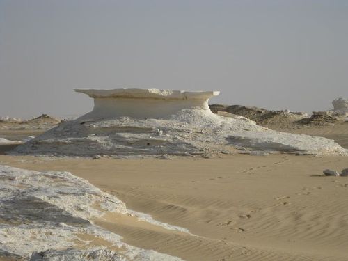 desert blanc 281RED