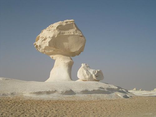 desert blanc 283RED