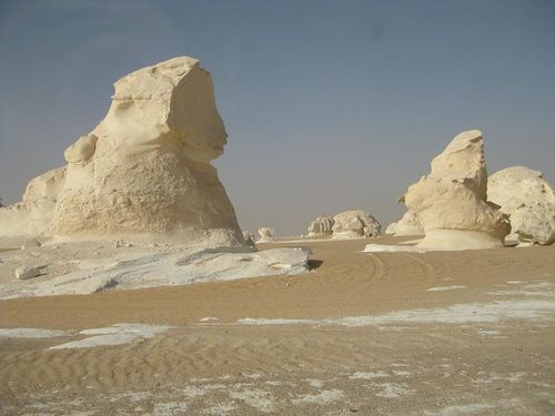 desert blanc 296RED