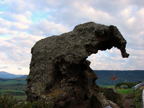 l'éléphant