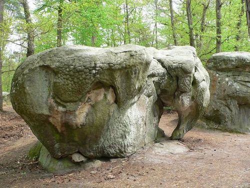 rochelephant-copie-1.jpg