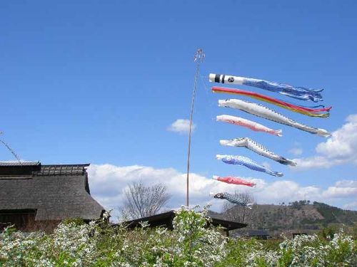 koinobori