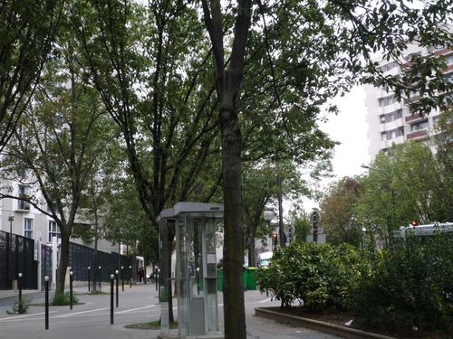 Rue de l'Amiral Mouchez bordée d'arbres
