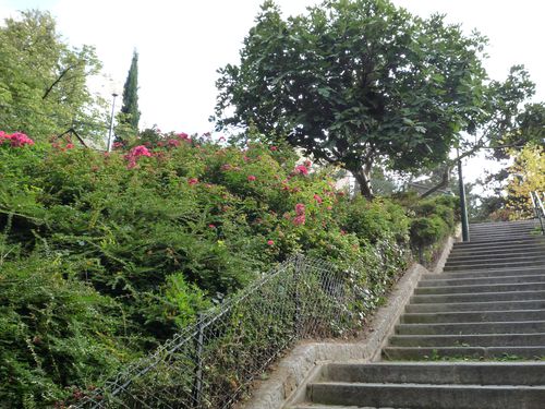 Rue Atget (escalier)2