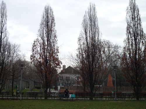Parc de Bercy en hiver, Paris