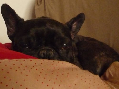 Photo 6778