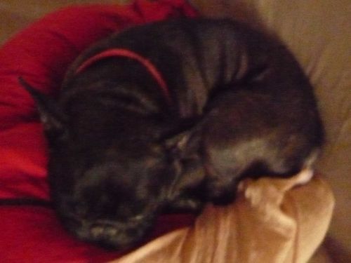 Photo 6779