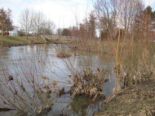 Nidda Motiv 2 am 5. März