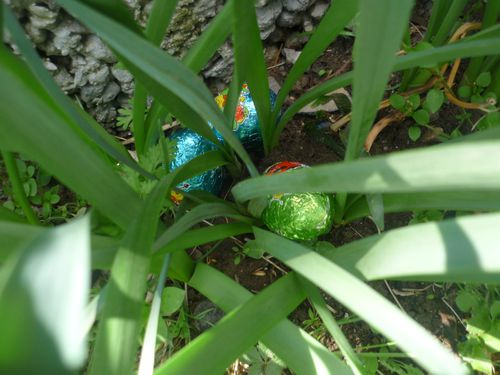 Chasse aux oeufs 12
