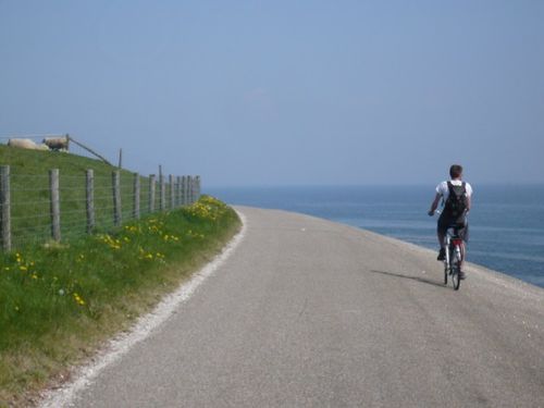 texel (15)