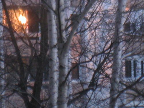 photo-michel-077.jpg