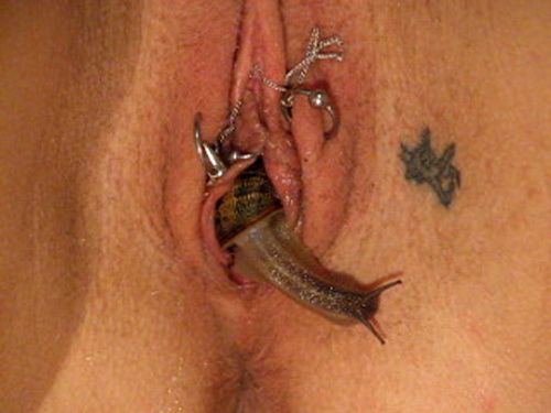 tumblr_lezlqcrQ031qb22sko1_500.jpg