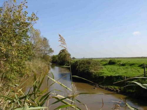 lavau sur loire