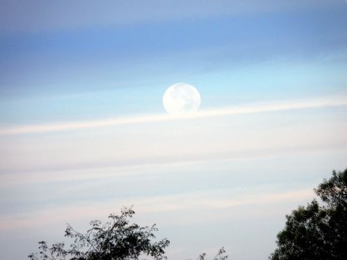 moon-this-morning.jpg