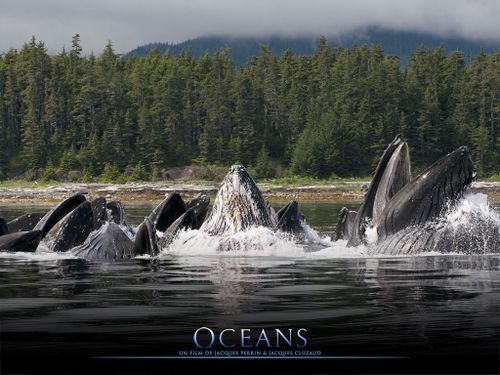 baleines film oceans