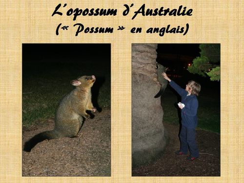 expose australie (27)