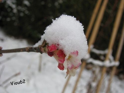 Hiver-2009-2010 2695