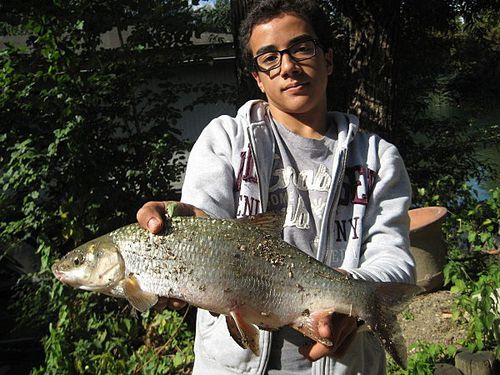 Peche-Sfa-025.jpg