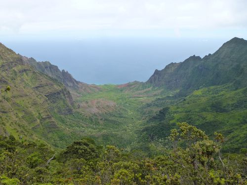 Hawaii-Kauai-Kokee-July 2014-cliff