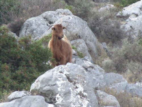 La-Crete-octobre-2012 5266