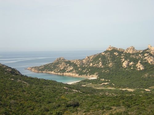 DSCN6496