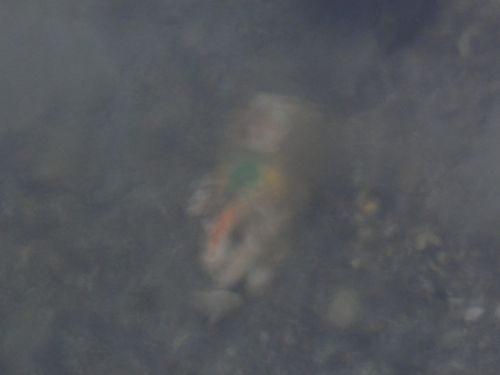 DSC05349
