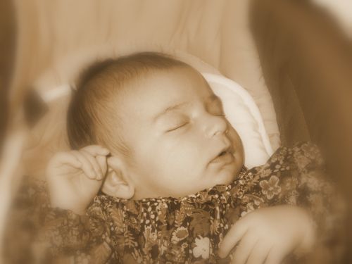 05.11.2011-030-0.jpg