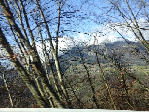 20141221_113641.jpg