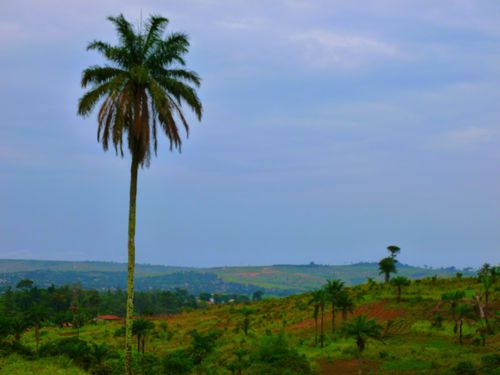 Vue du Bas Congo 2