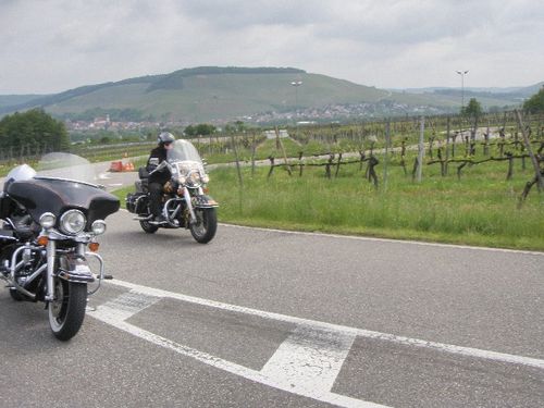 P5165364.JPG