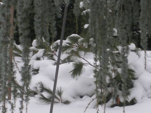 Photo-2009-226.jpg