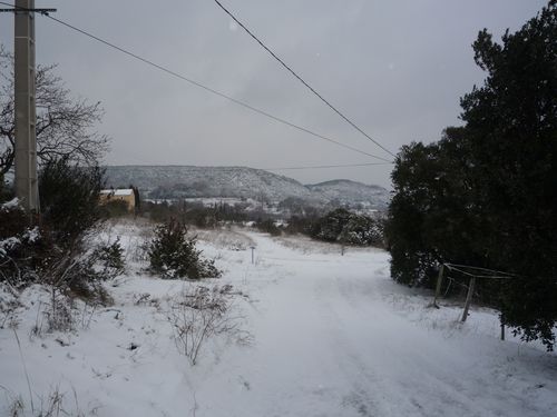 P1040284