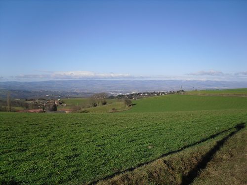 Plaine et Monts du Forez